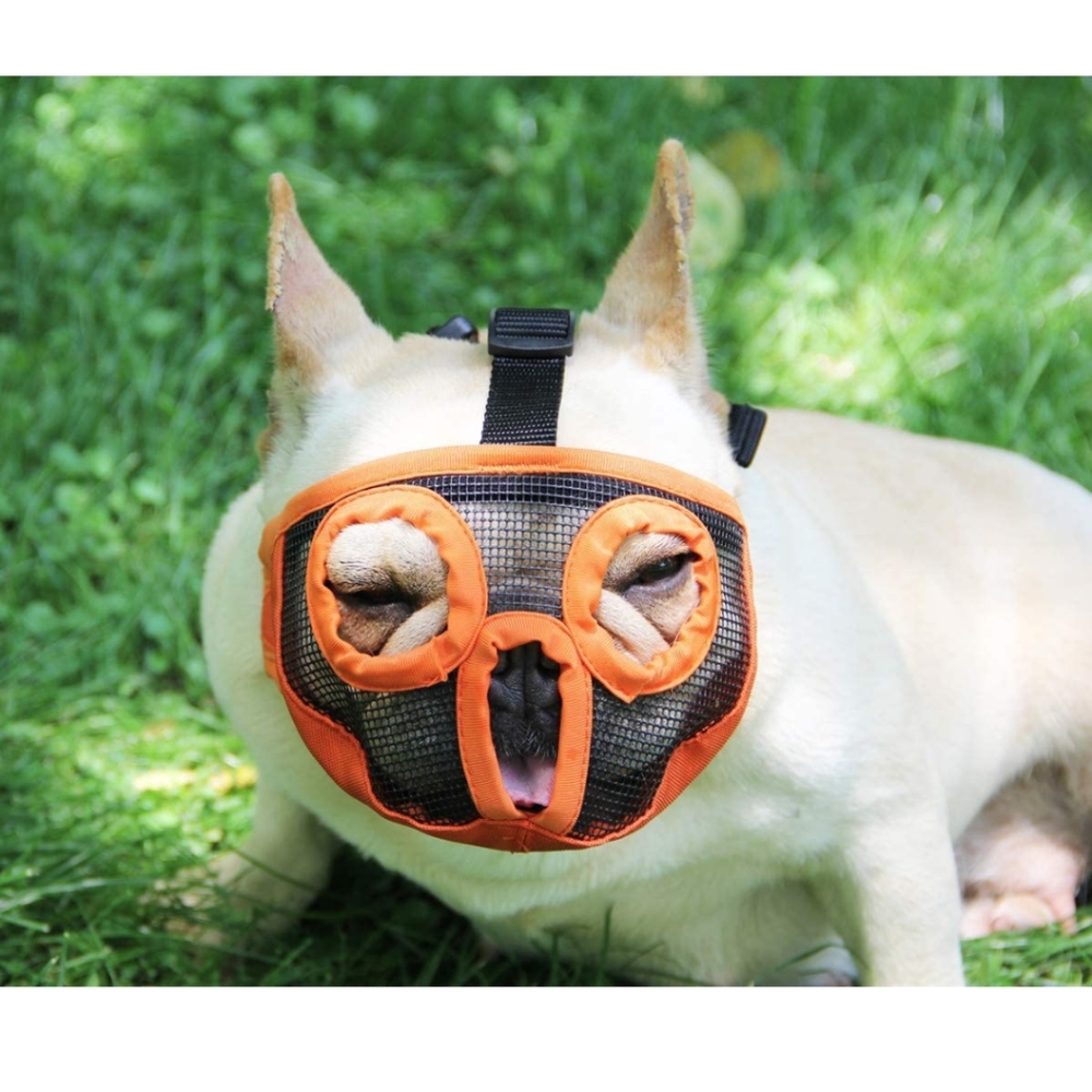 Short Snout Dog Muzzle